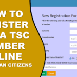 How to Apply for a TSC Number in Kenya